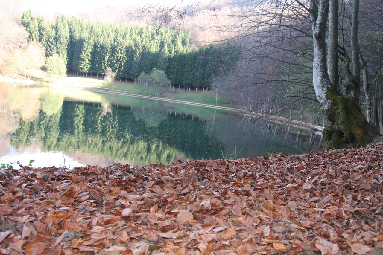 Hotel Balkana Vidovic Mrkonjic Grad Esterno foto